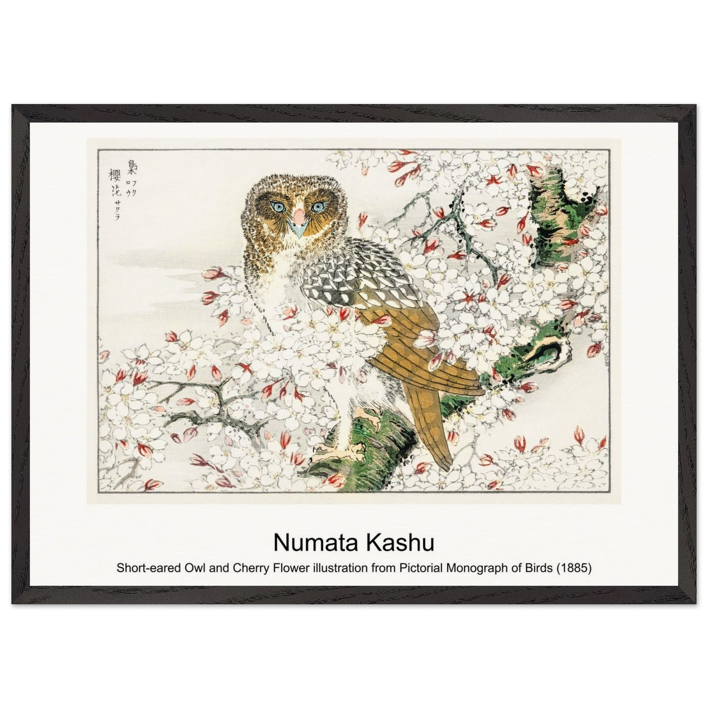 4a830896-51a2-4ae7-939b-aac94696da75