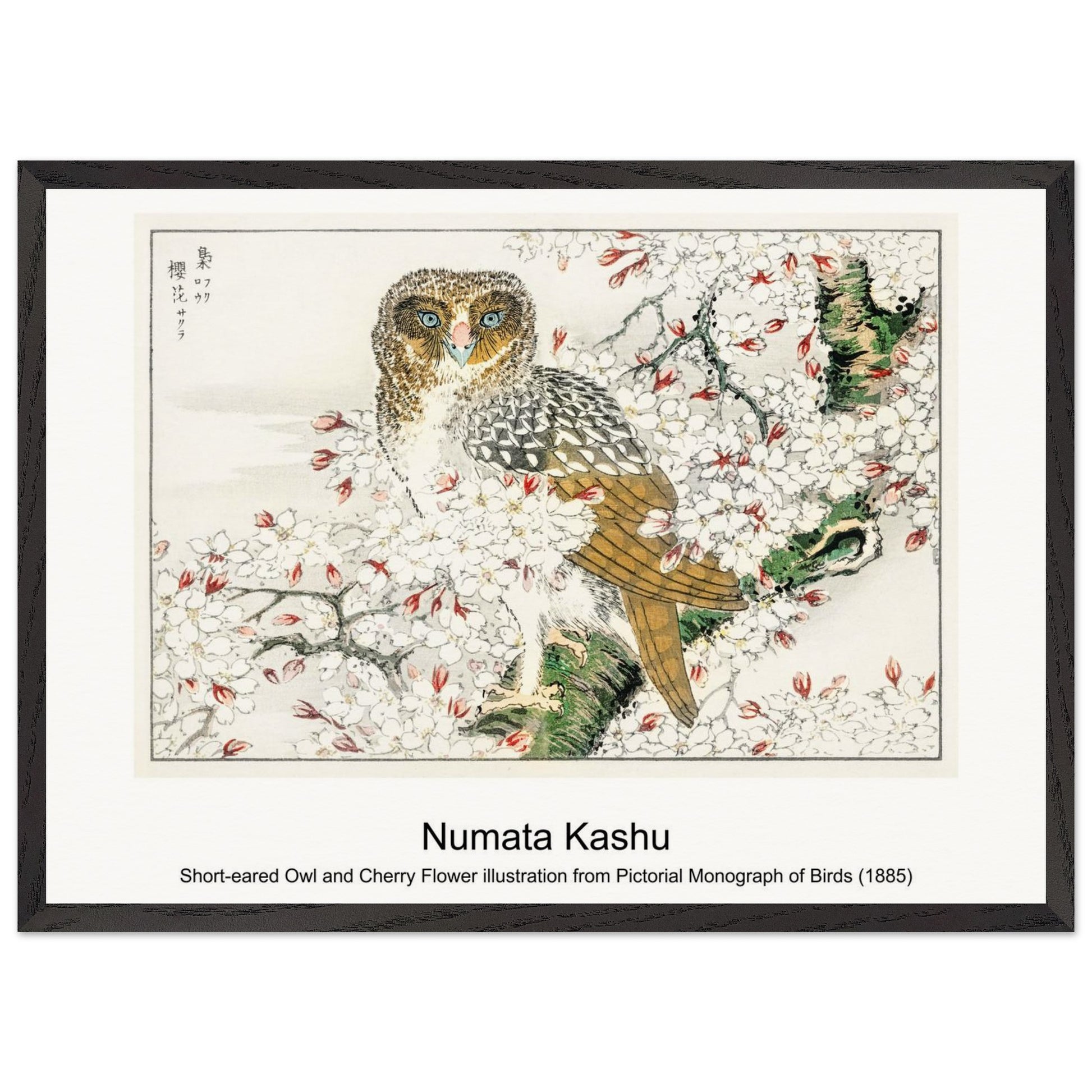 4a830896-51a2-4ae7-939b-aac94696da75