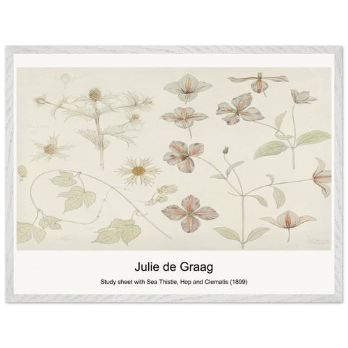 Study sheet with Sea Thistle, Hop and Clematis (1899) by Julie de Graag. Archival Print on Museum Quality Matte Paper. Premium Wood Framed Wall Art. Optimised Aspect Ratio.