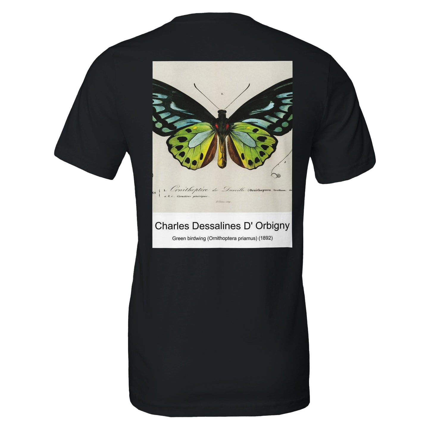 4c1e7f40-6026-47b2-94d8-3253beaab2ac