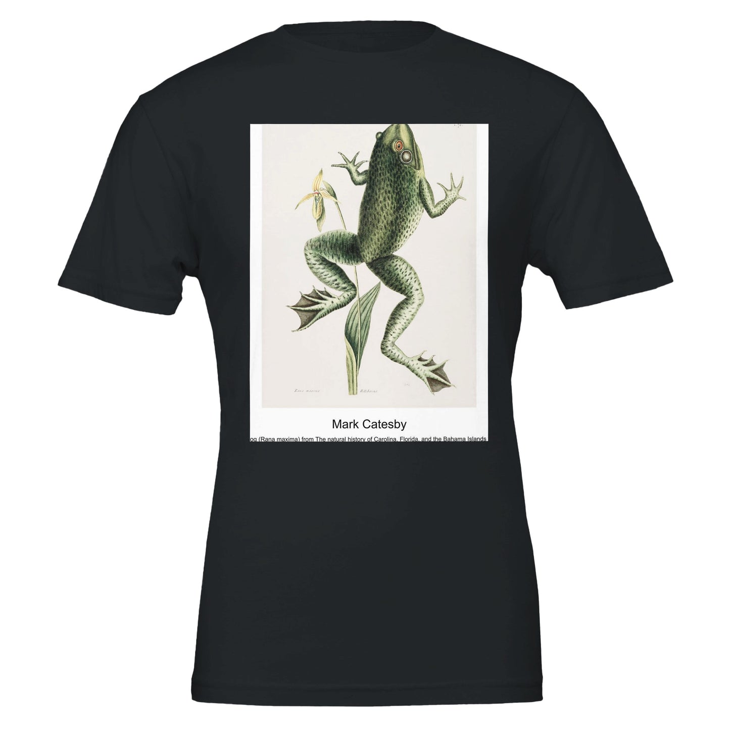 4c81c02a-8219-4735-bf49-2e40a45b63f8