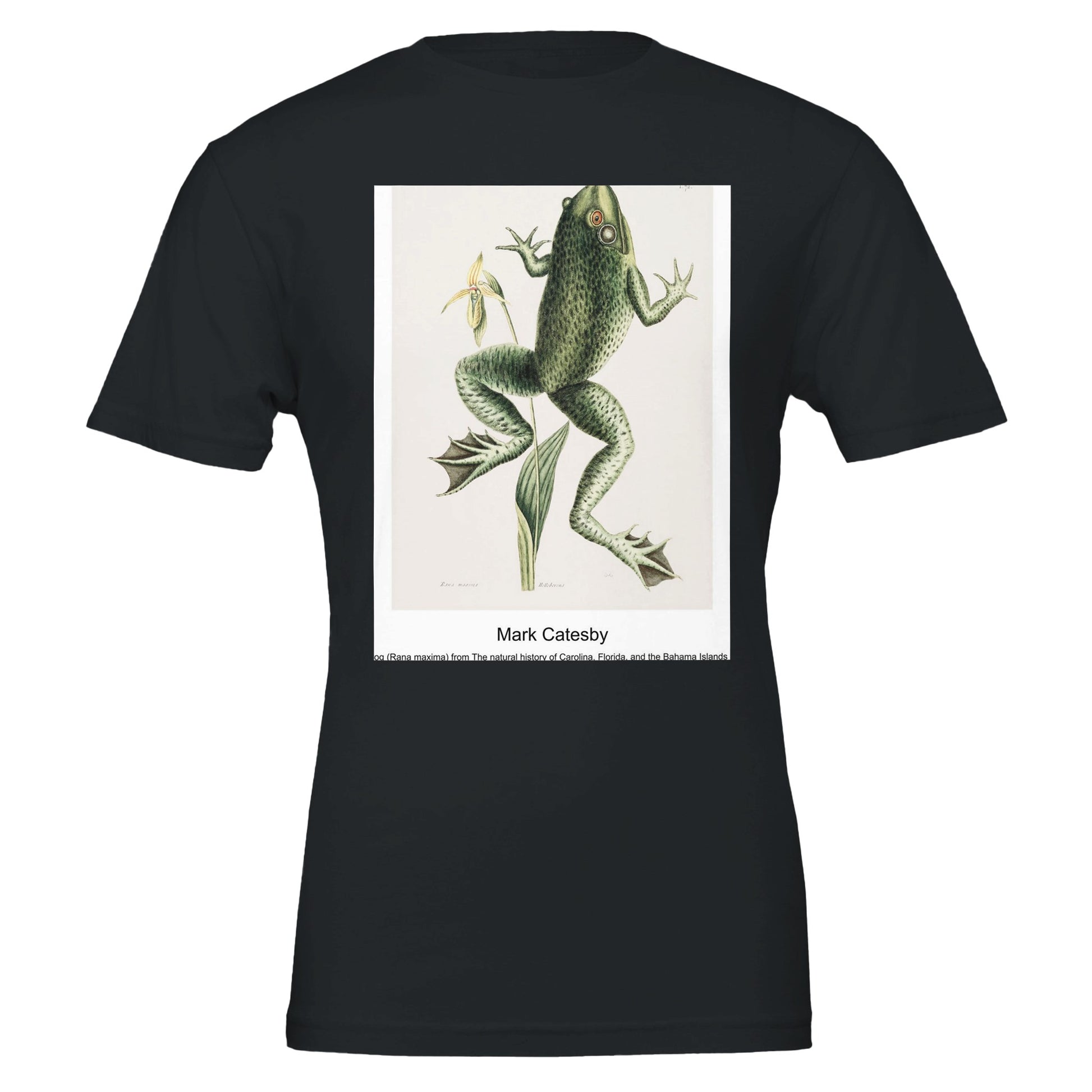 4c81c02a-8219-4735-bf49-2e40a45b63f8