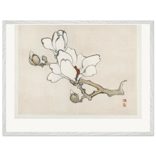 Magnolia (1913) by Kōno Bairei. Archival Print on Museum Quality Matte Paper. Premium Wood Framed Wall Art. Original Aspect Ratio