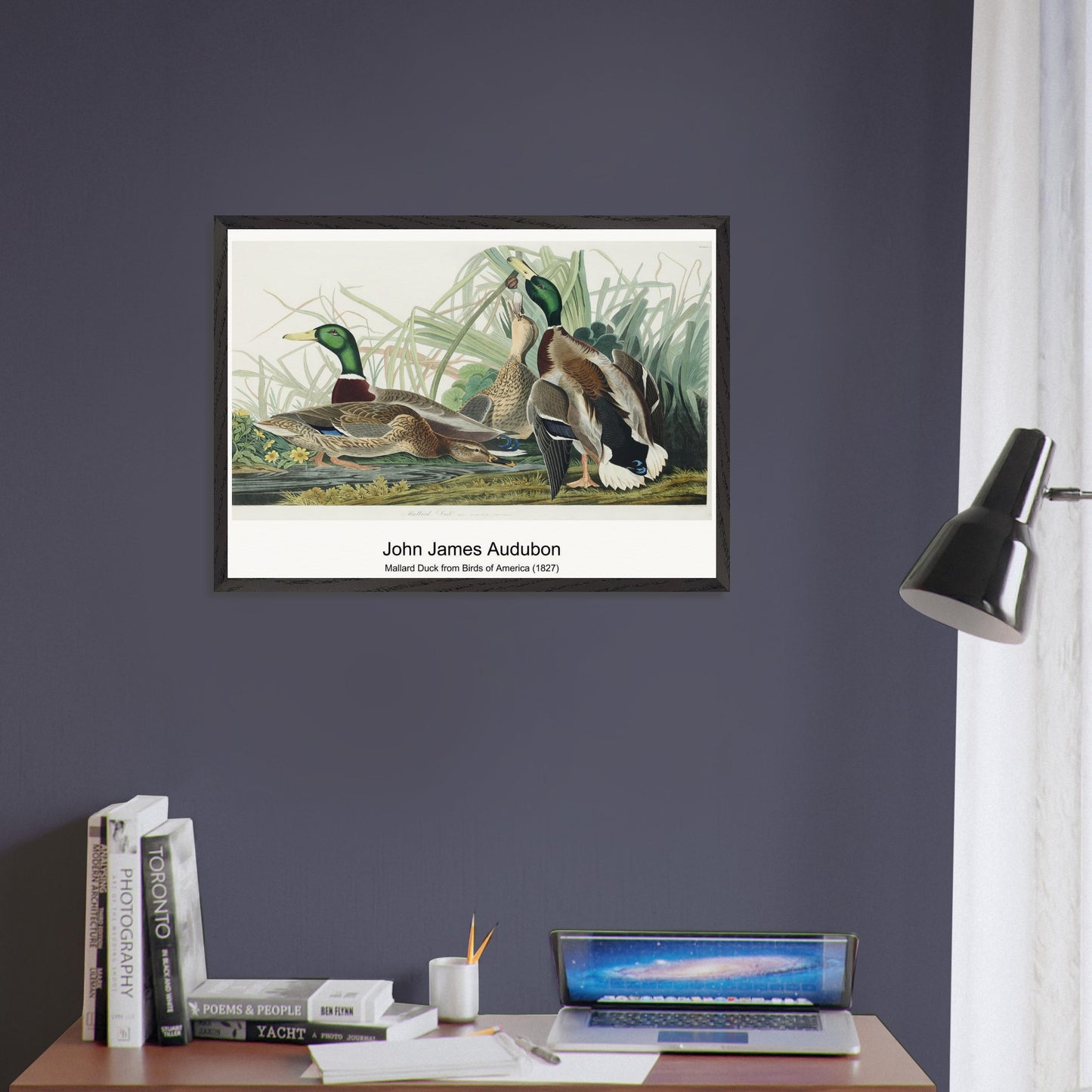 4da93c67-39ee-4278-825c-d7d1171a1ede