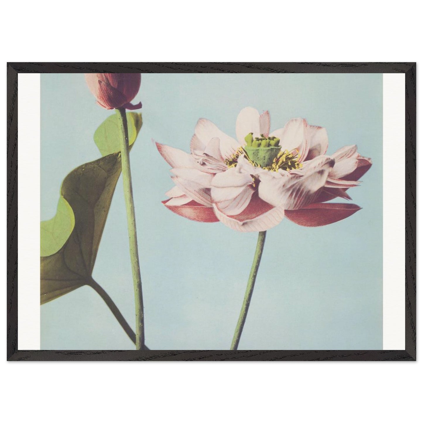 4e43c43f-f069-4d3d-8bc5-327aba85ff5a