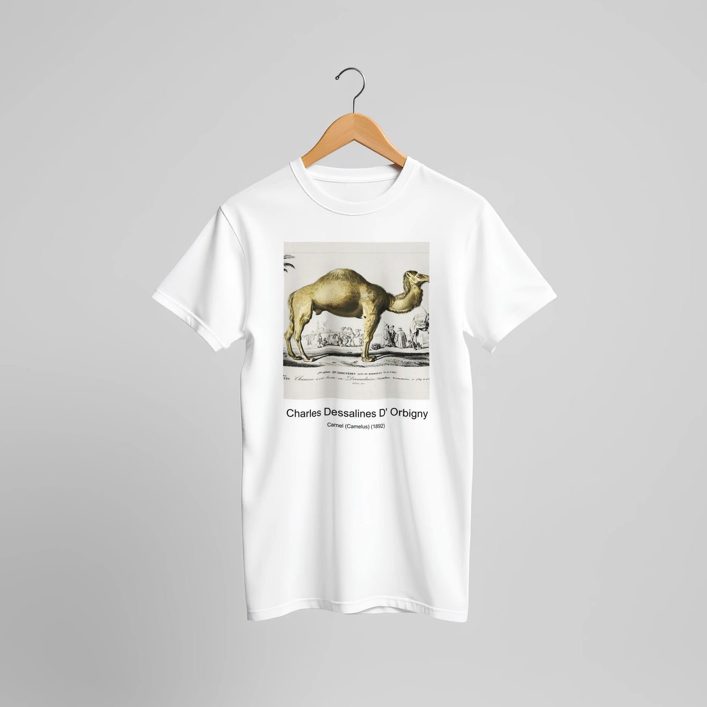 4e727251-41db-4aa2-80e4-7943894cdf73