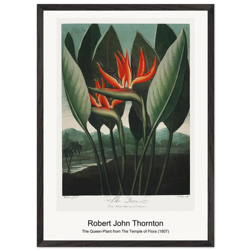 Variations Quatre-Vingt-Six Motifs Décoratifs En Vingt Planches (1928) by Édouard Bénédictus. Archival Print on Museum Quality Matte Paper. Premium Wood Framed Wall Art. Optimised Aspect Ratio.