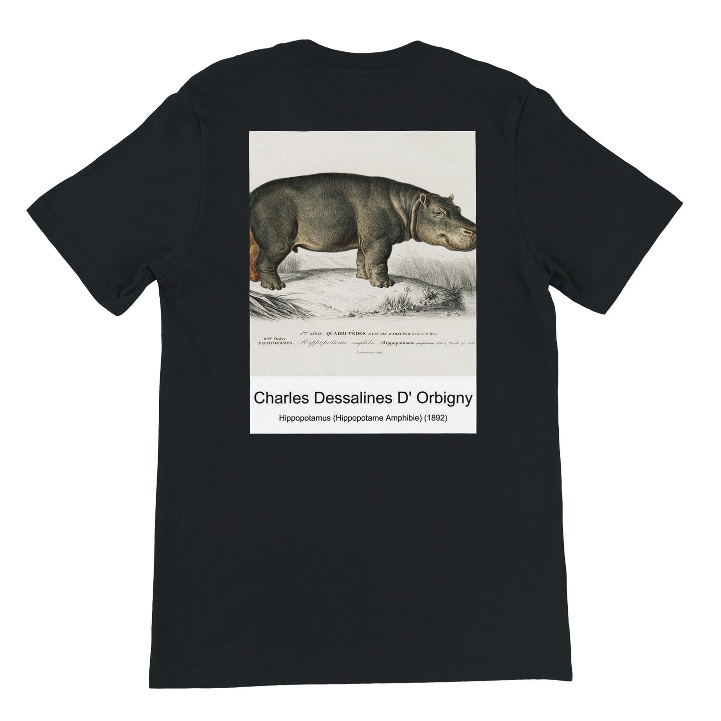 4f85f29e-bffd-441f-a61d-db369de03e9b