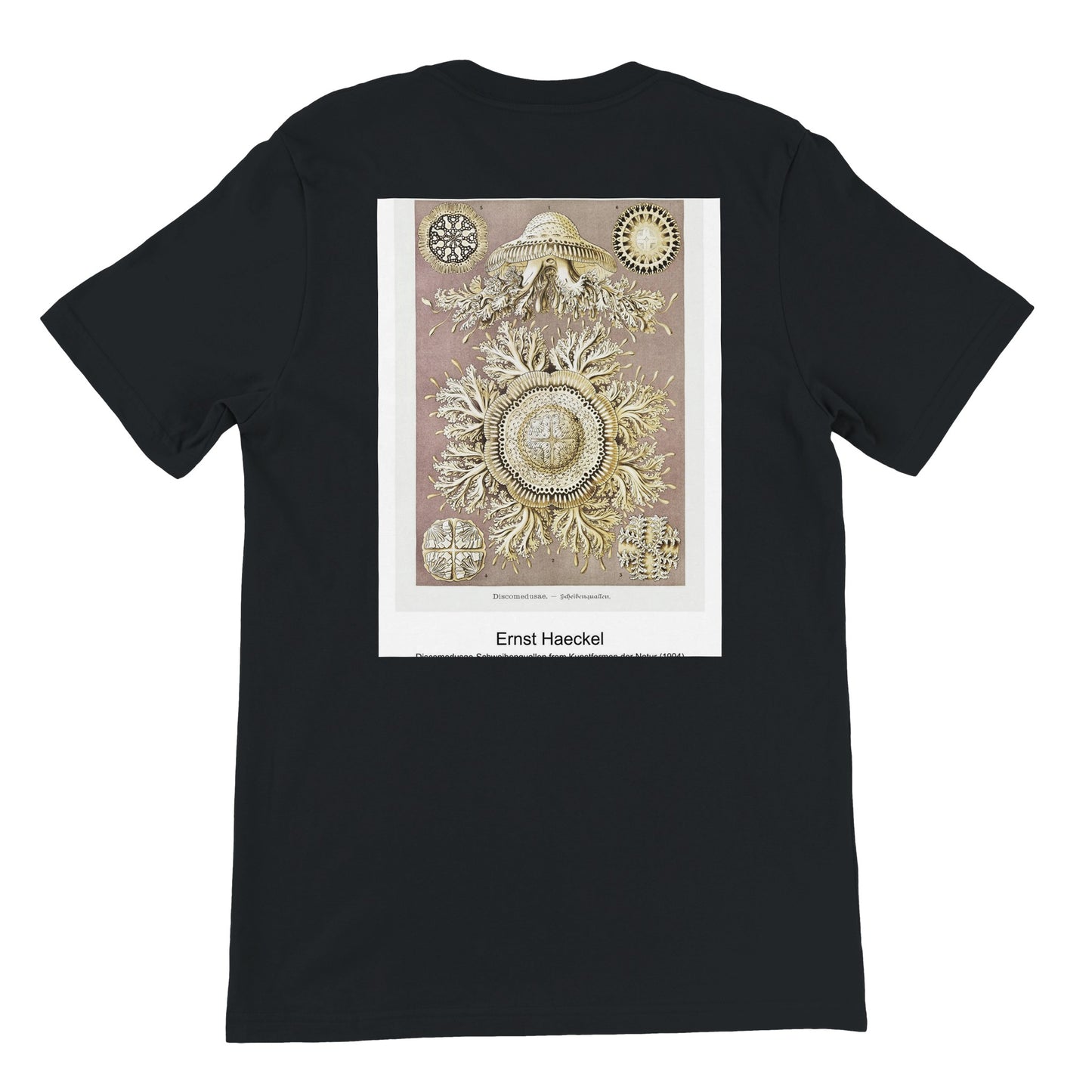 500e25fe-549f-44d6-b902-bf061cdcd345