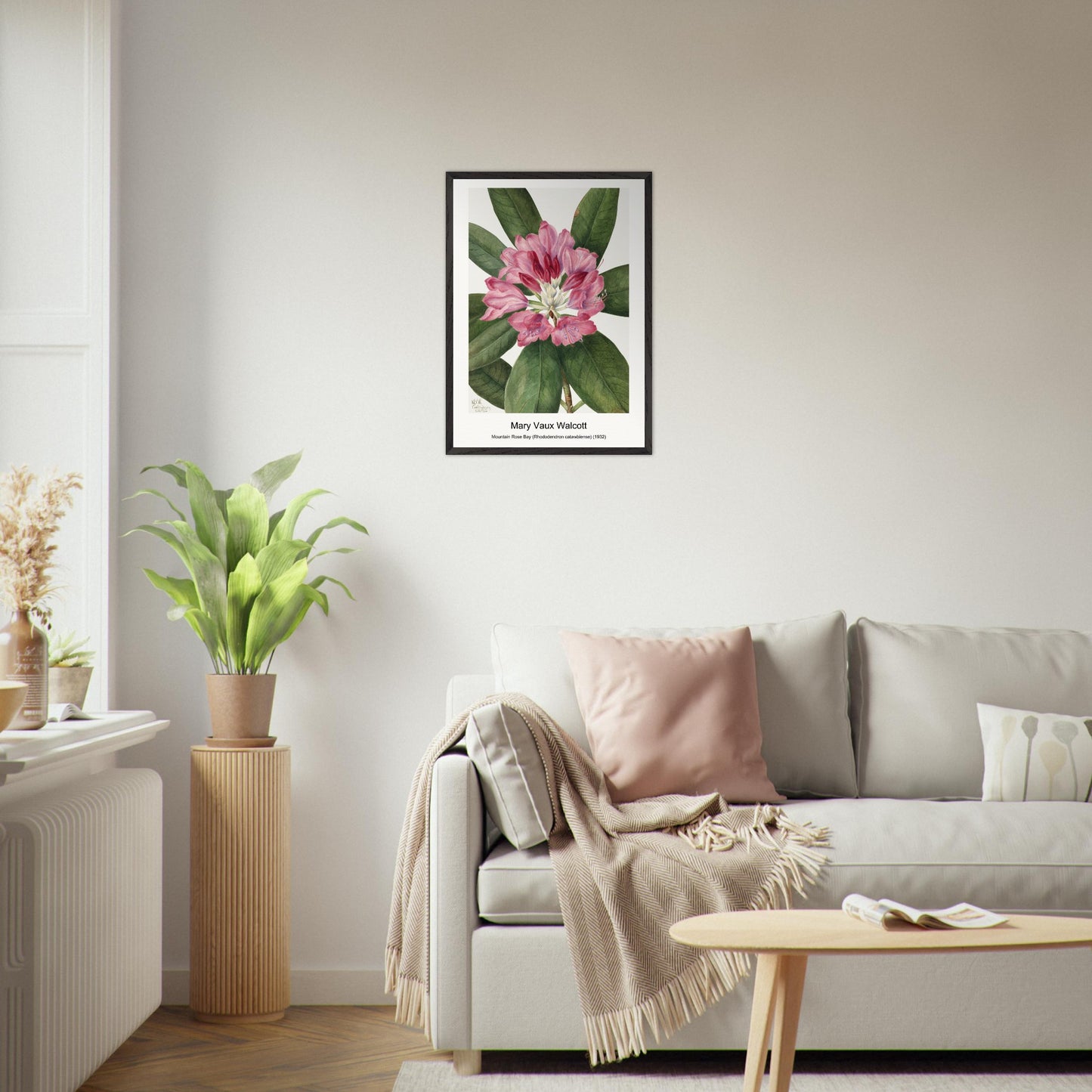 50ef2b16-3c7f-4723-85ea-4da8f2b2453e