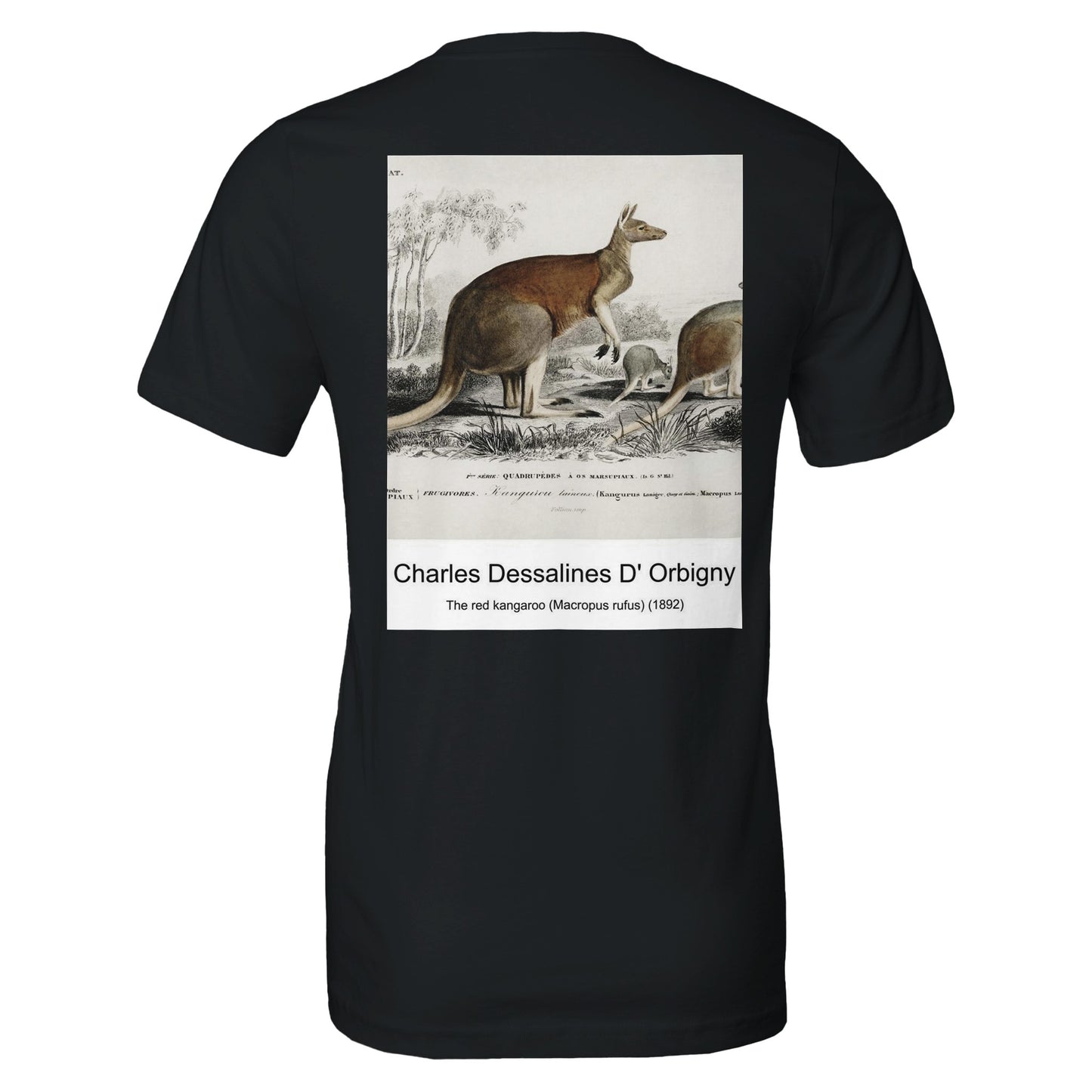 510f35d1-ac9a-4aae-9f9d-a4bea2b2ee15