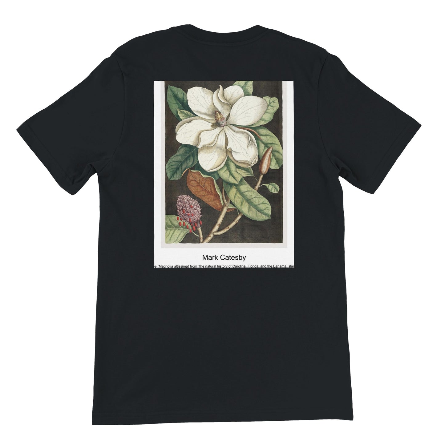 512d0b3a-b9f1-45d0-9fda-96b00afcfa43