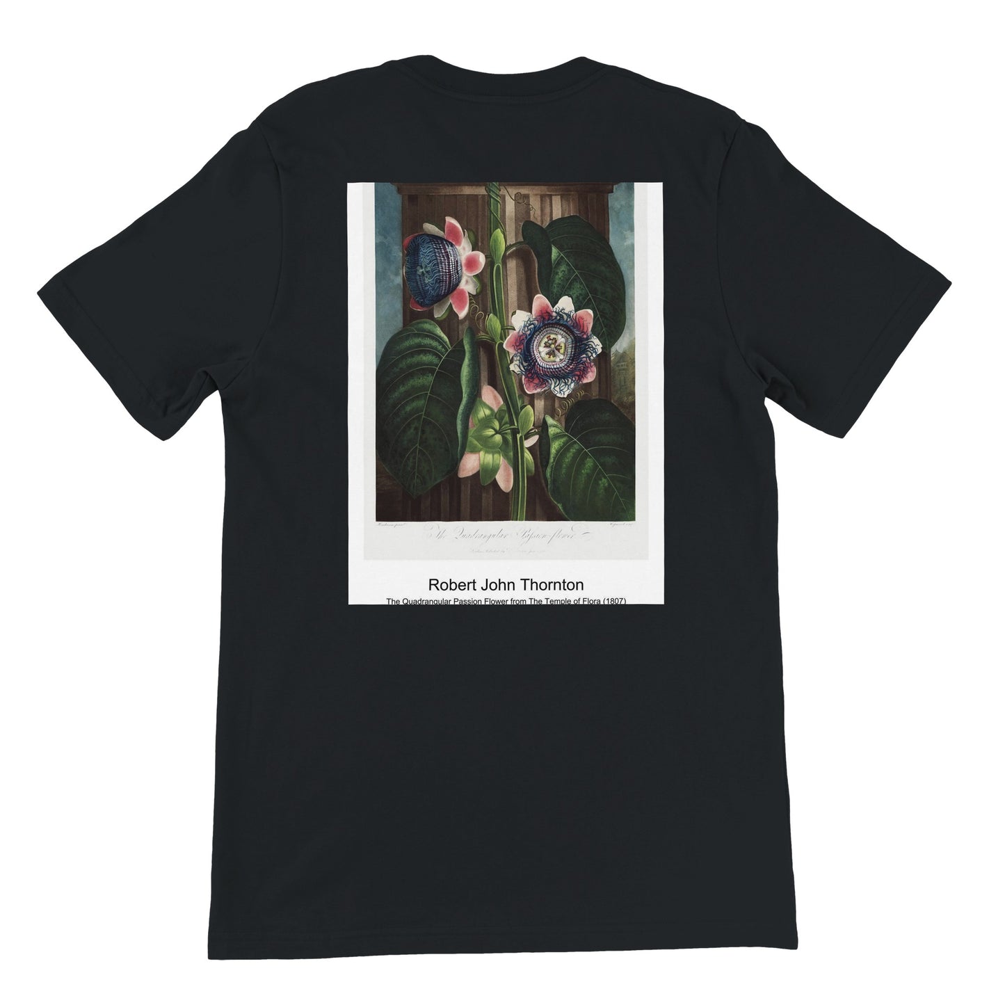 5156626c-c12a-4d53-9f89-4b3e9dd0622b