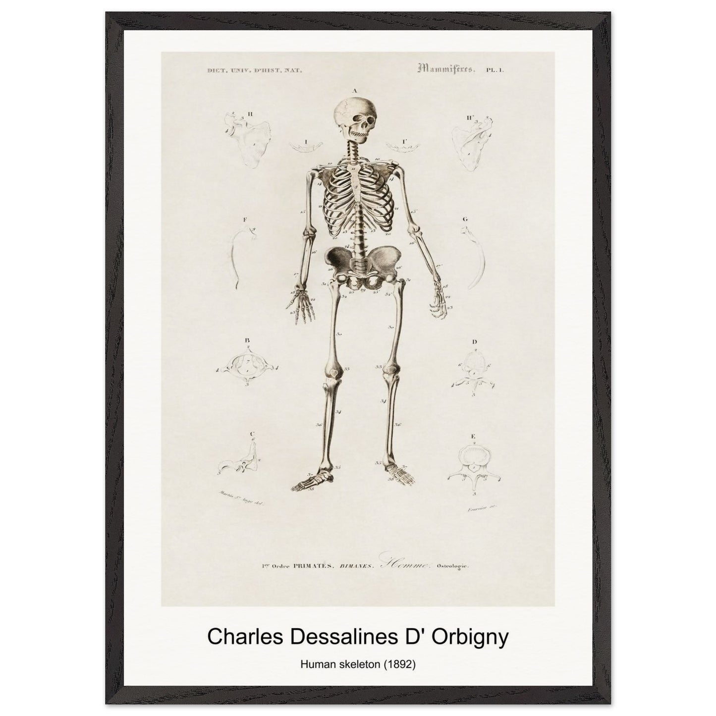 51a27c8a-cab7-41cd-a0dd-ca15aaa7e2a8