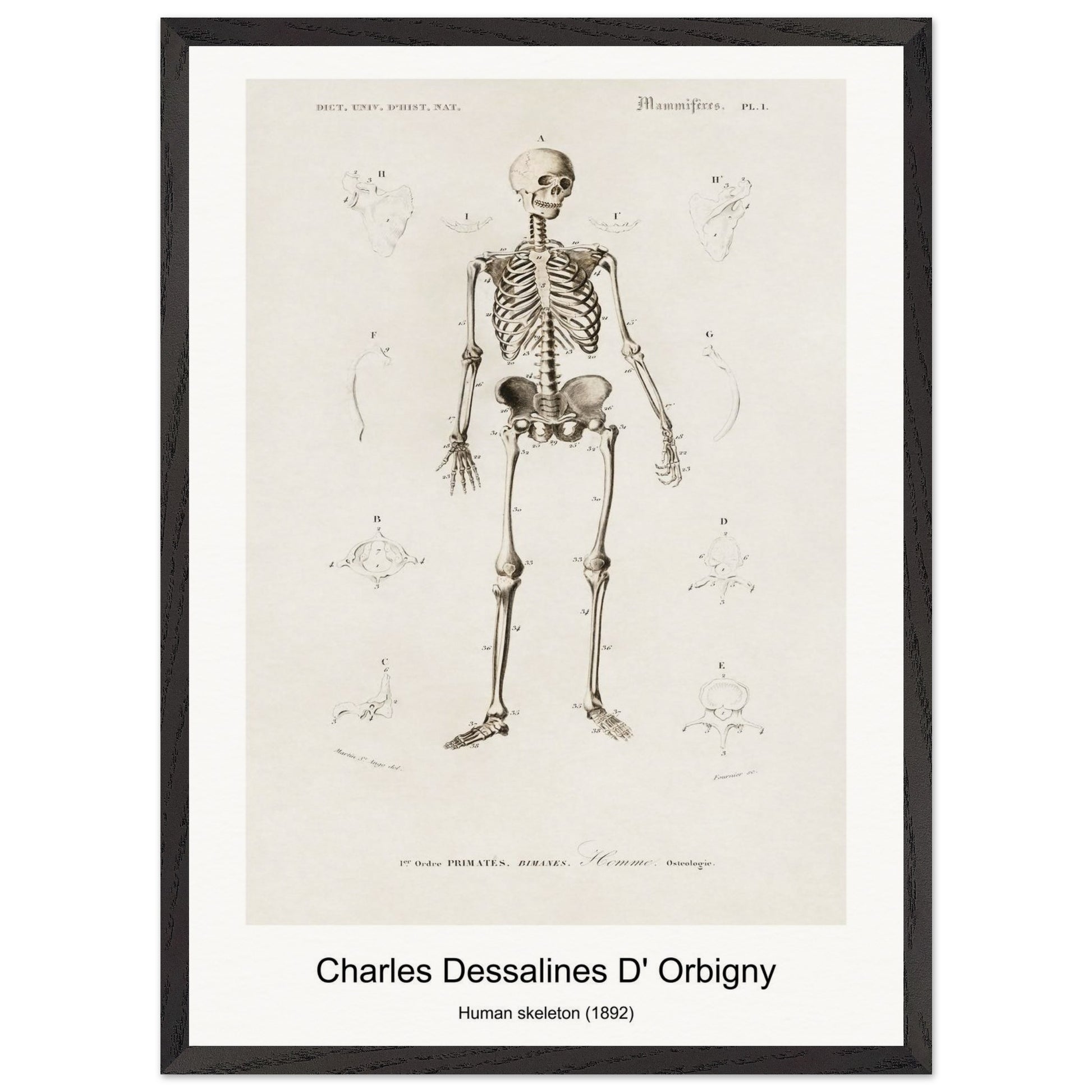 51a27c8a-cab7-41cd-a0dd-ca15aaa7e2a8