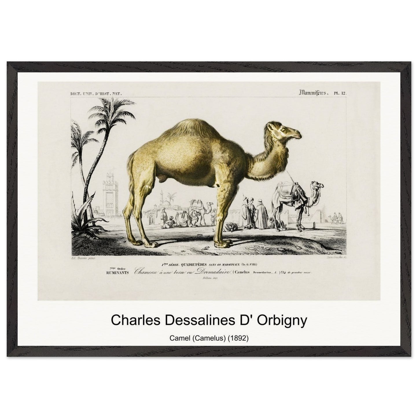 51cd7343-9868-4e45-a014-326b07590cc6