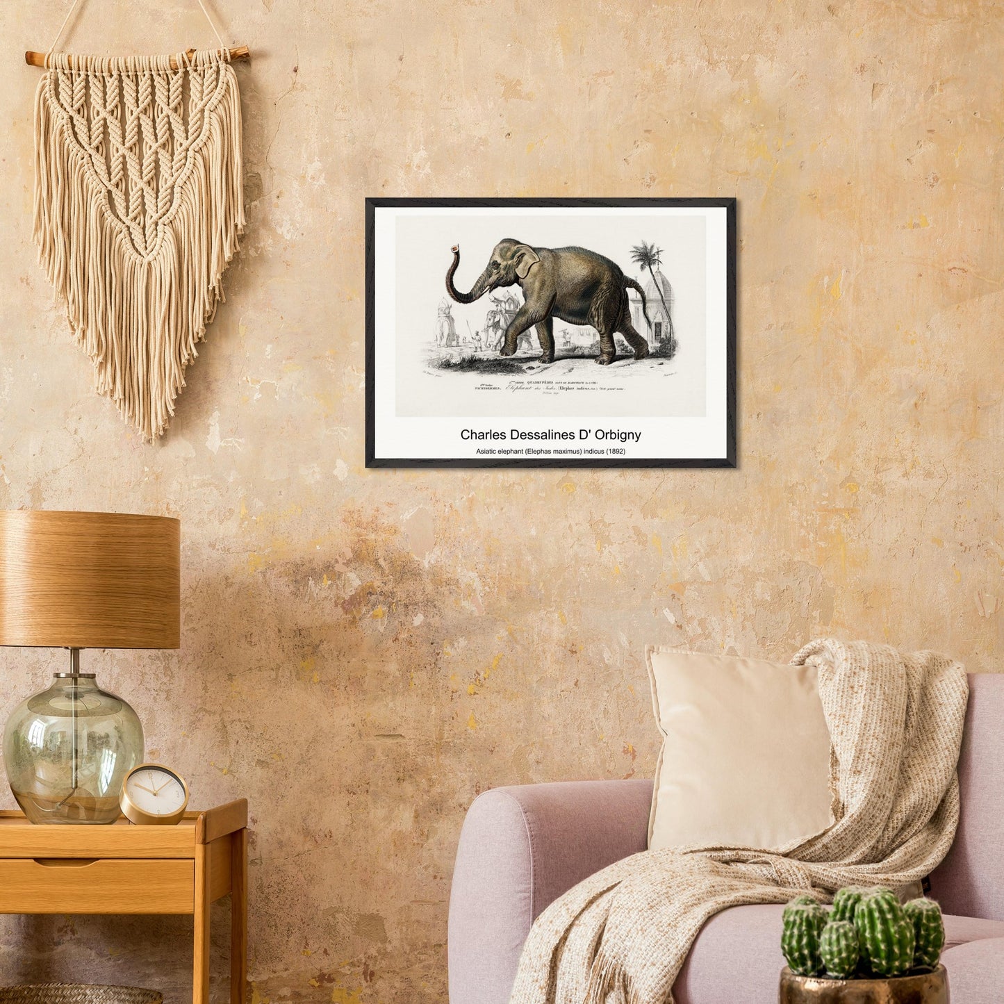 51e0d236-44ef-4895-b855-2f8cea29c5a7