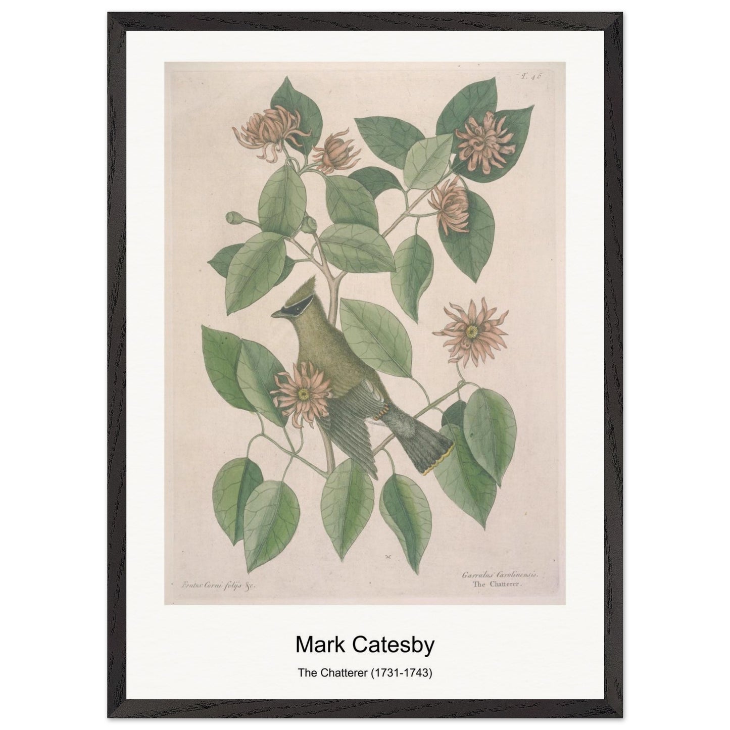 52543f8c-15c0-491c-b3d0-74ade95d7be0