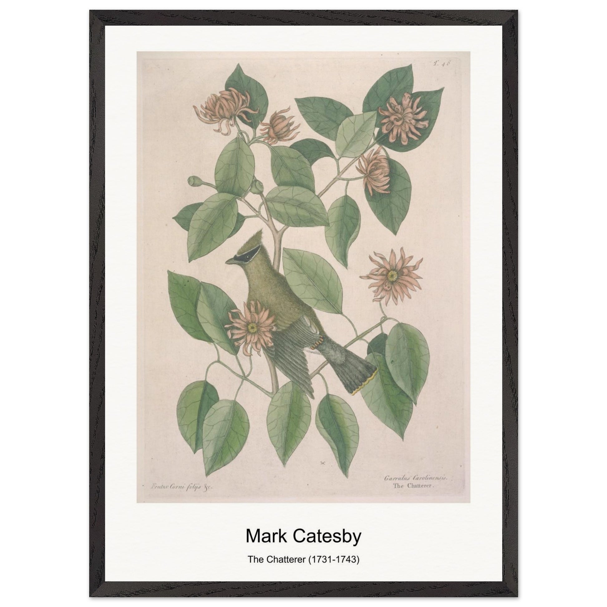 52543f8c-15c0-491c-b3d0-74ade95d7be0