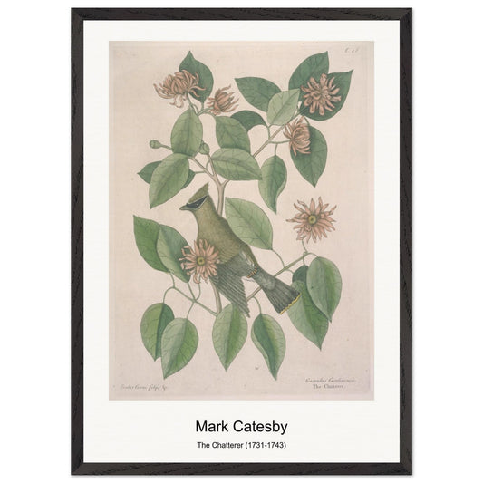 52543f8c-15c0-491c-b3d0-74ade95d7be0