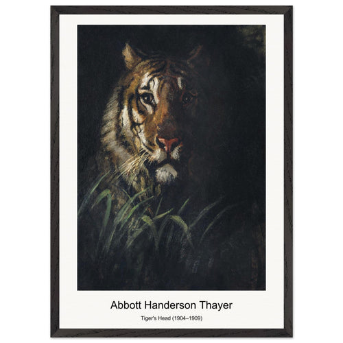 Tiger's Head (1904–1909) by Abbott Handerson Thayer. Archival Print on Museum Quality Matte Paper. Premium Wood Framed Wall Art. Optimised Aspect Ratio.