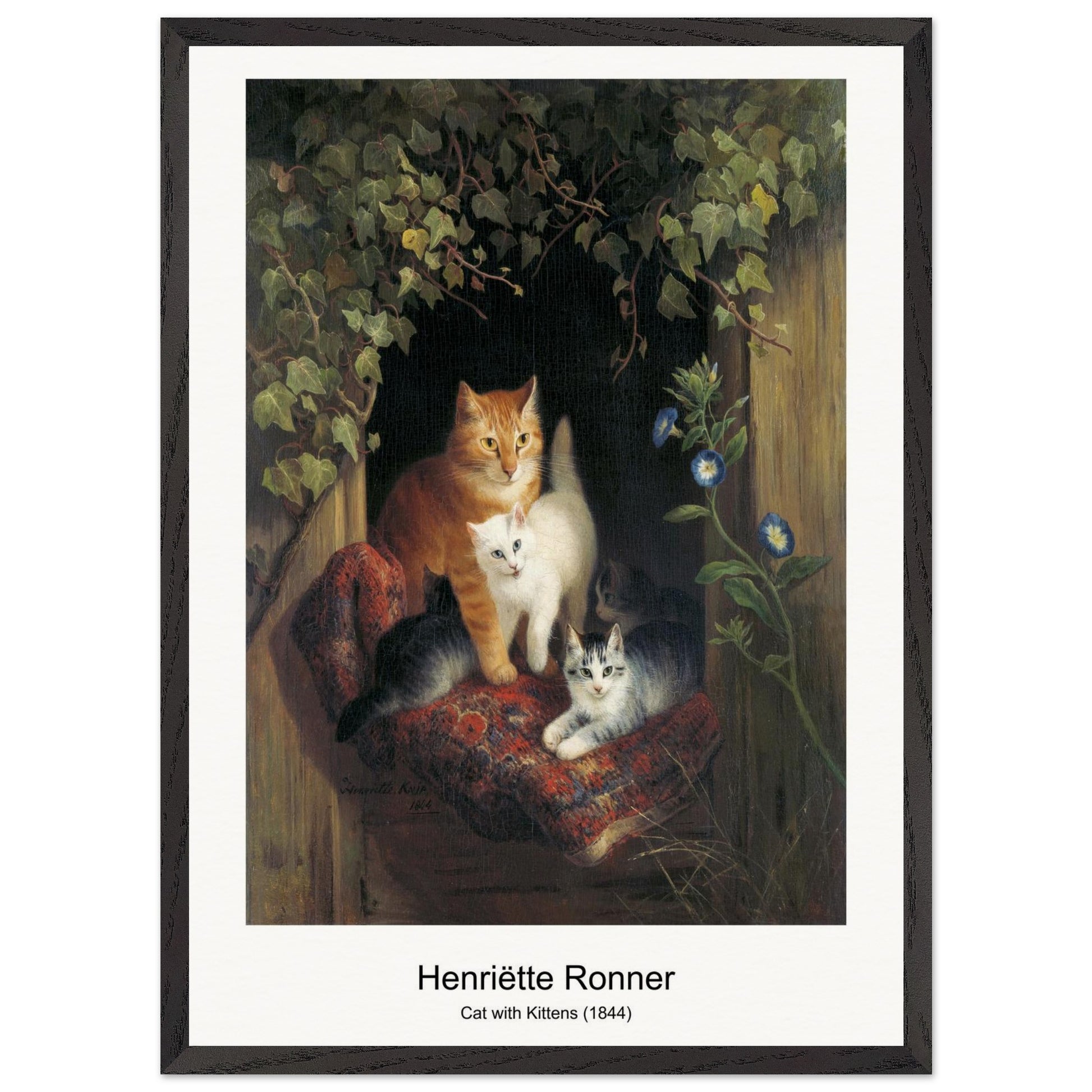 542e9e80-173d-4dc7-87ad-c7978583e003