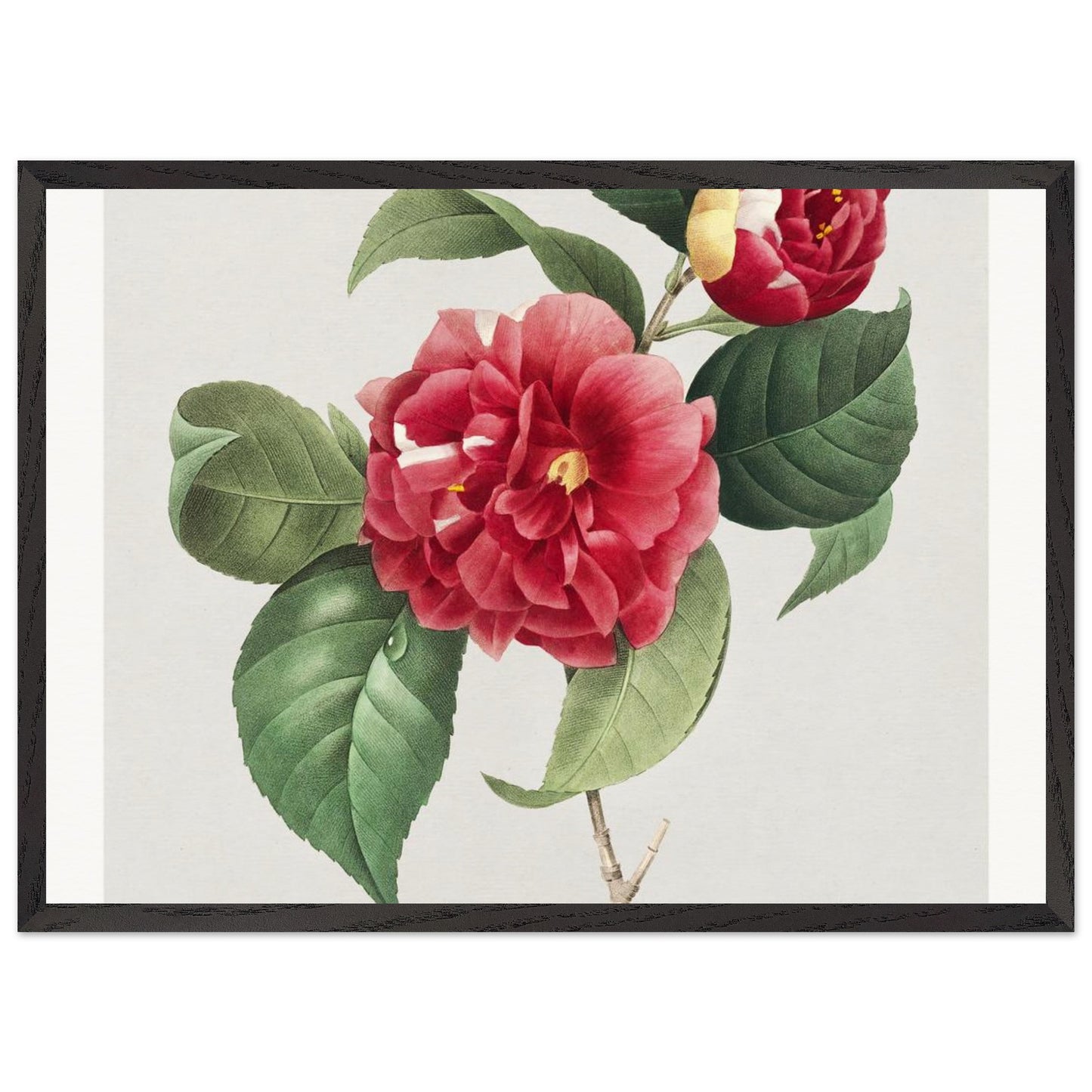 548ea9a5-bfda-46c5-a5eb-91299f0dba62