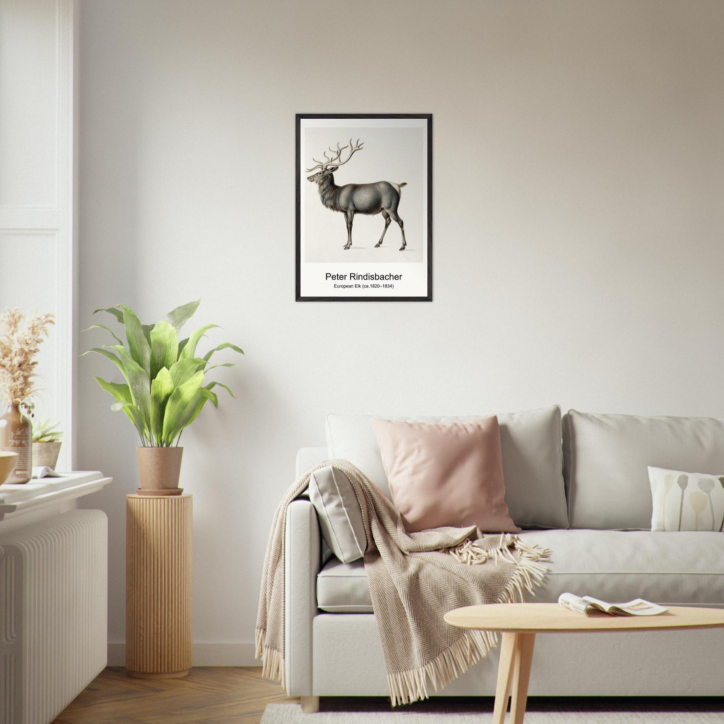 54bfd5f6-9c88-449c-9746-d108de311daa