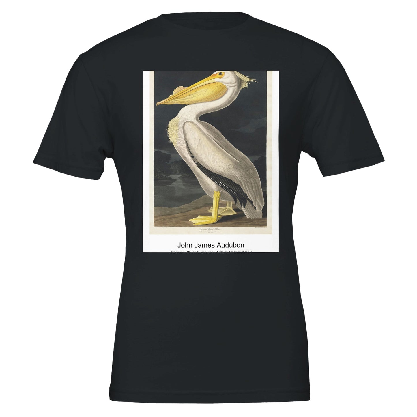 5516cf6c-ae8d-4ee2-9eef-c25434d19721