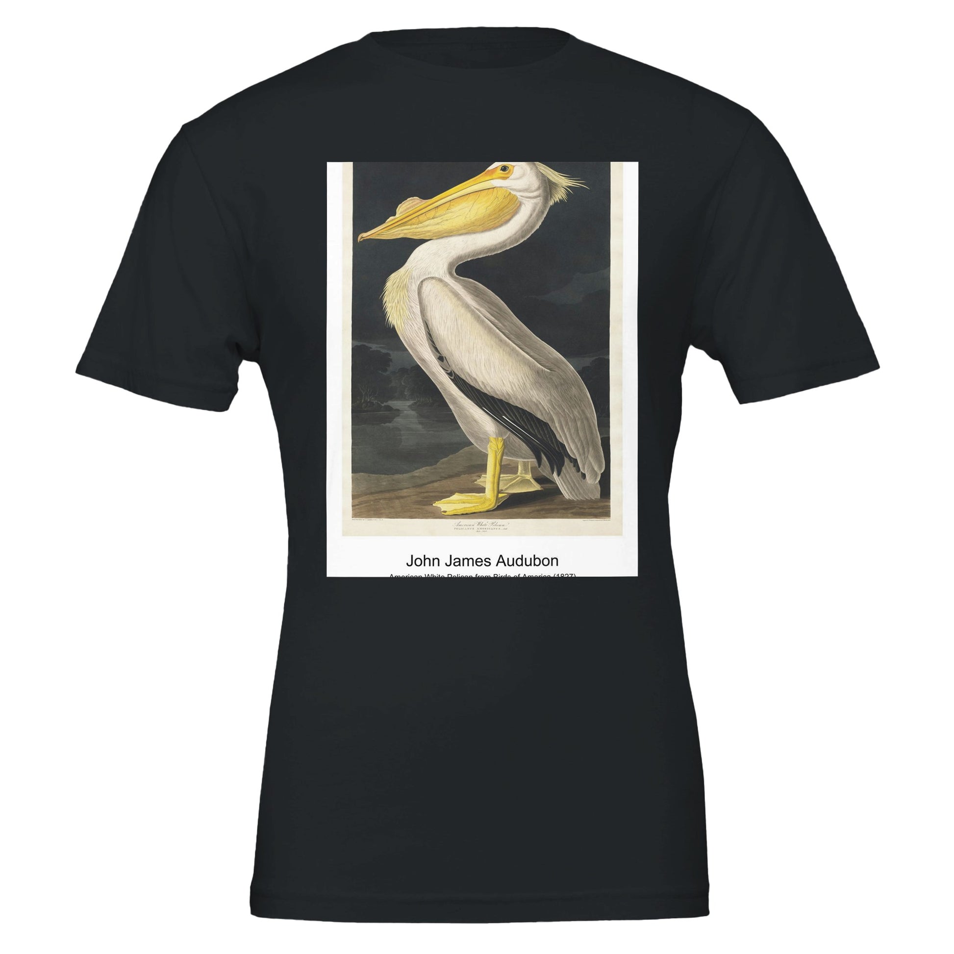 5516cf6c-ae8d-4ee2-9eef-c25434d19721