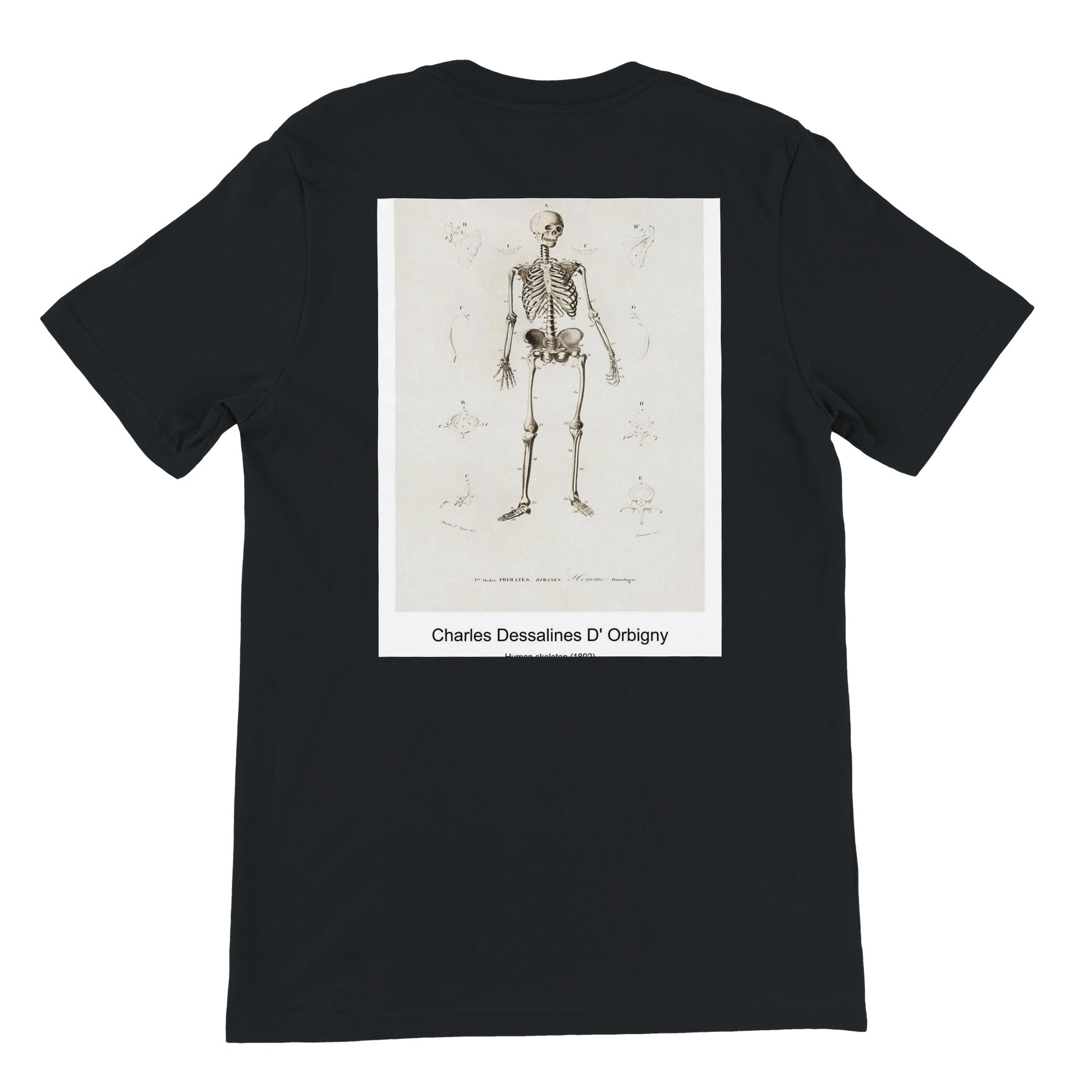 556dd160-7649-449d-91bb-f2441c339b8a