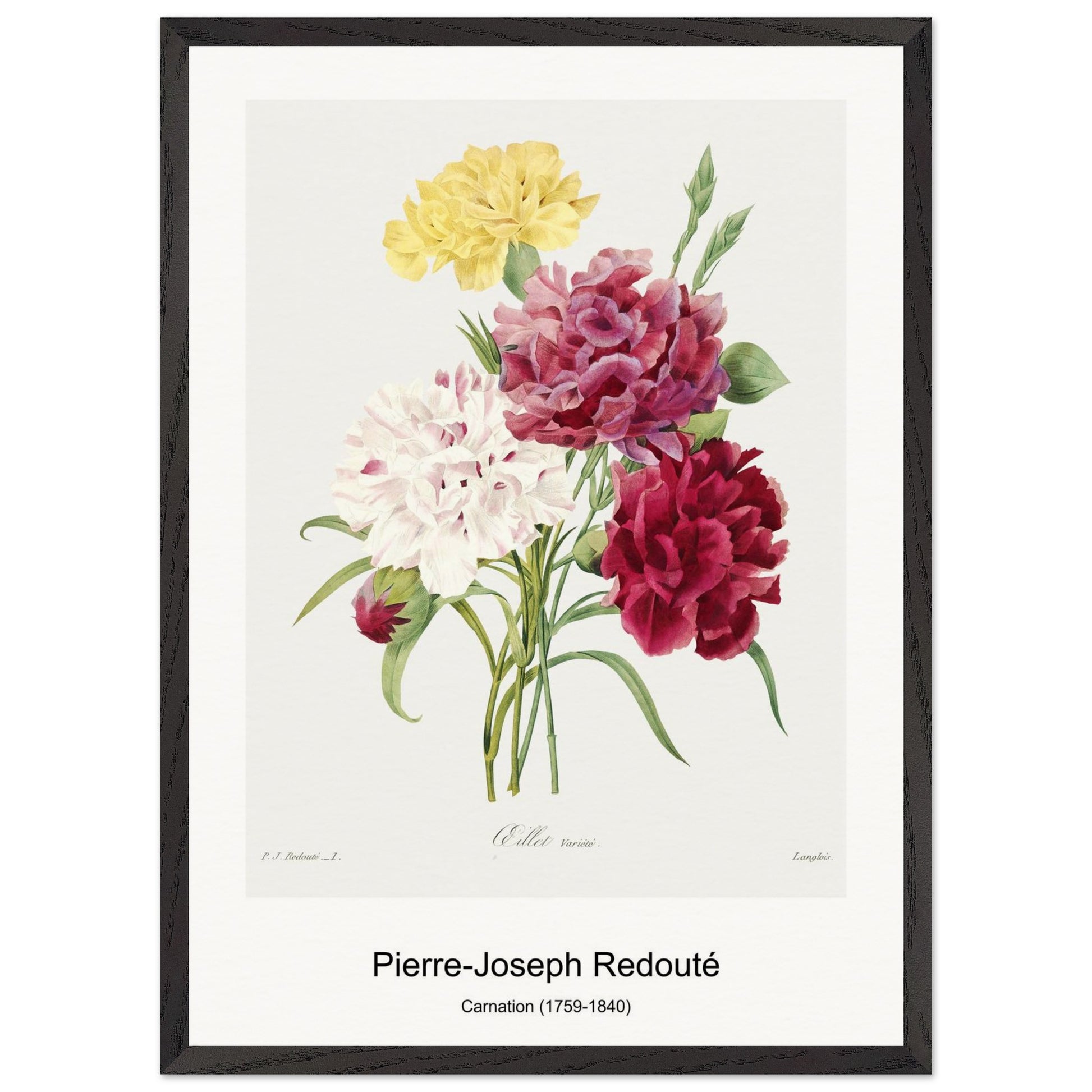 55a63202-445b-451c-aed1-bb4789c20d81