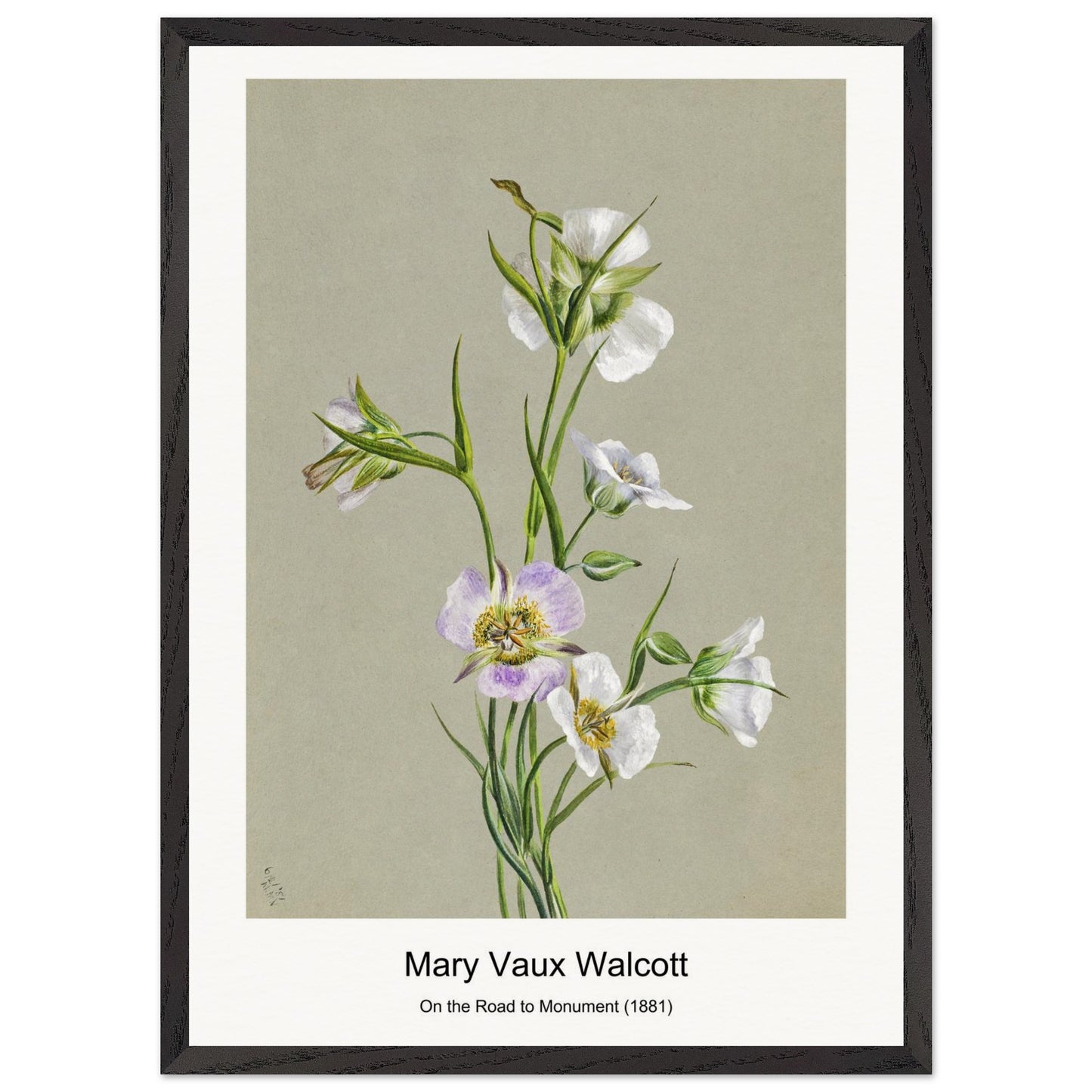 55efe61f-5e96-4150-9247-f68d77c5a54f