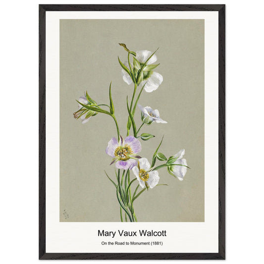 55efe61f-5e96-4150-9247-f68d77c5a54f