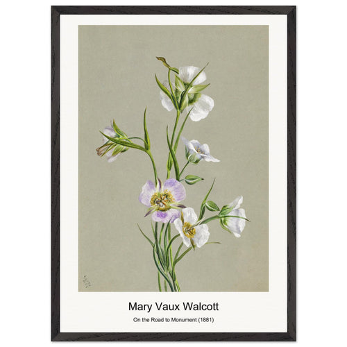 On the Road to Monument (1881) by Mary Vaux Walcott. Archival Print on Museum Quality Matte Paper. Premium Wood Framed Wall Art. Original Aspect Ratio