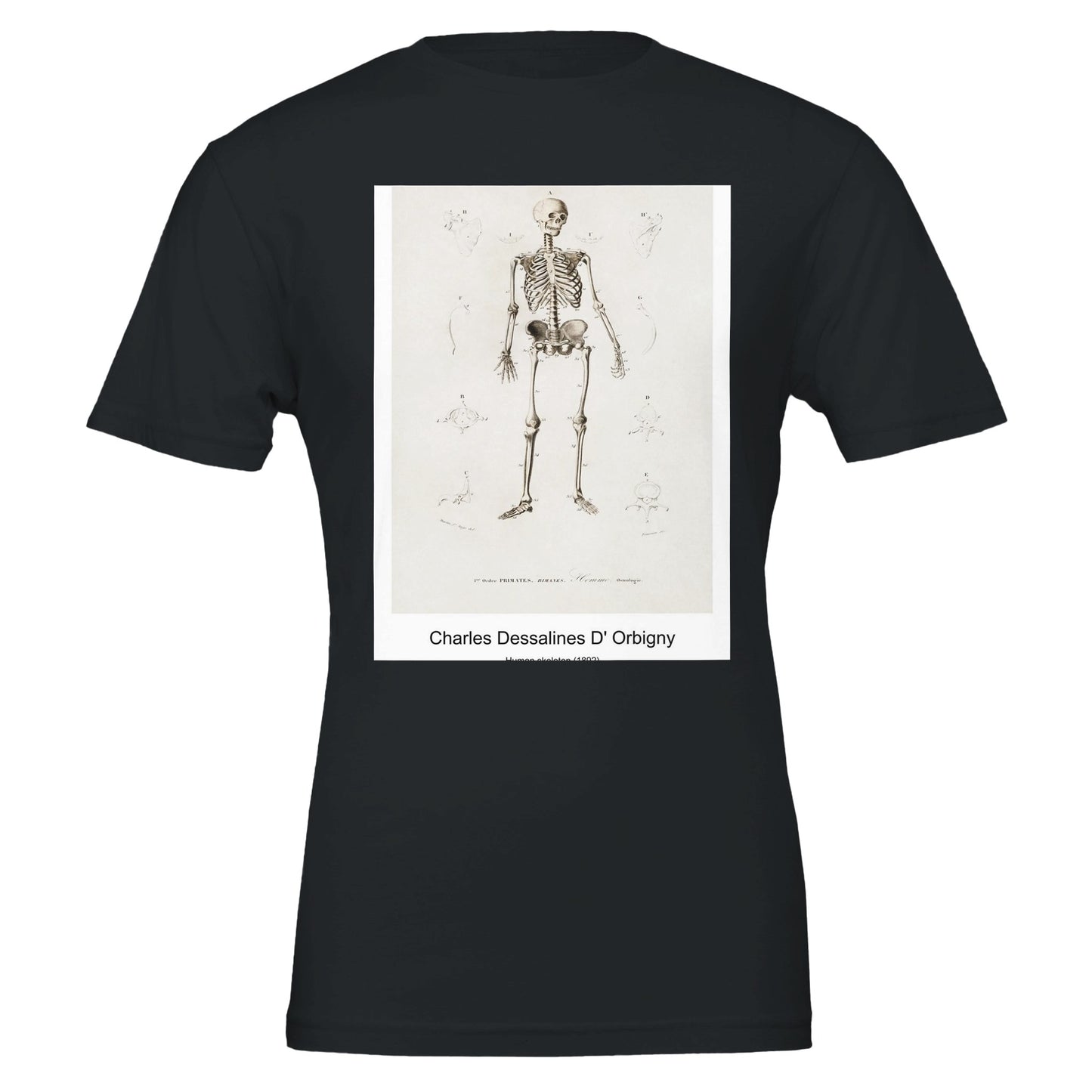 563220a9-86a8-48c9-9bf4-a5bb609ba09a