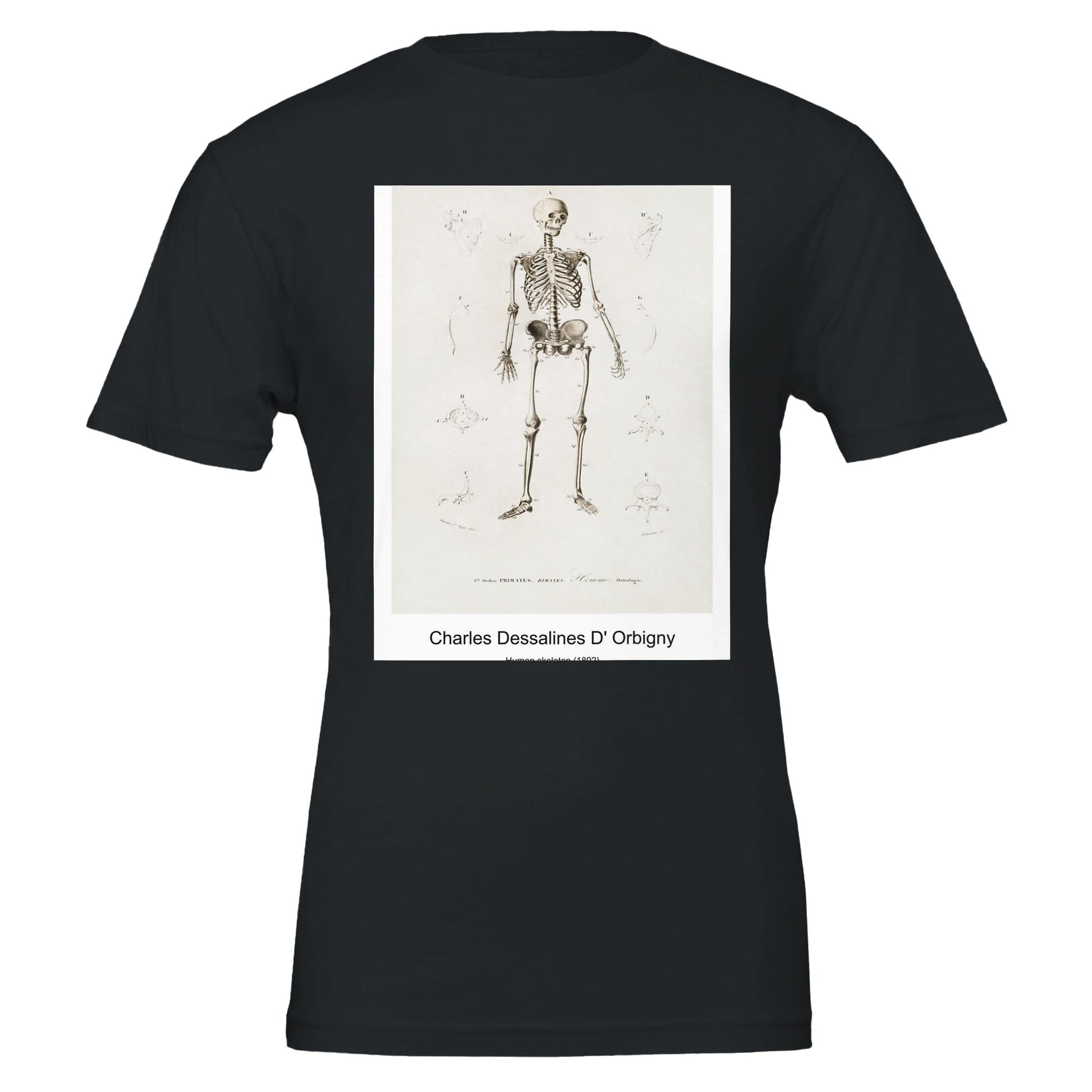 563220a9-86a8-48c9-9bf4-a5bb609ba09a