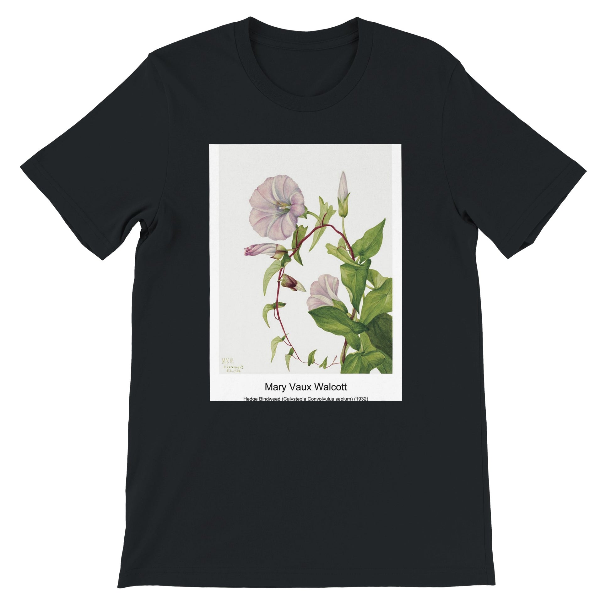 56b838bf-f317-4714-bfa5-0843449b8b98