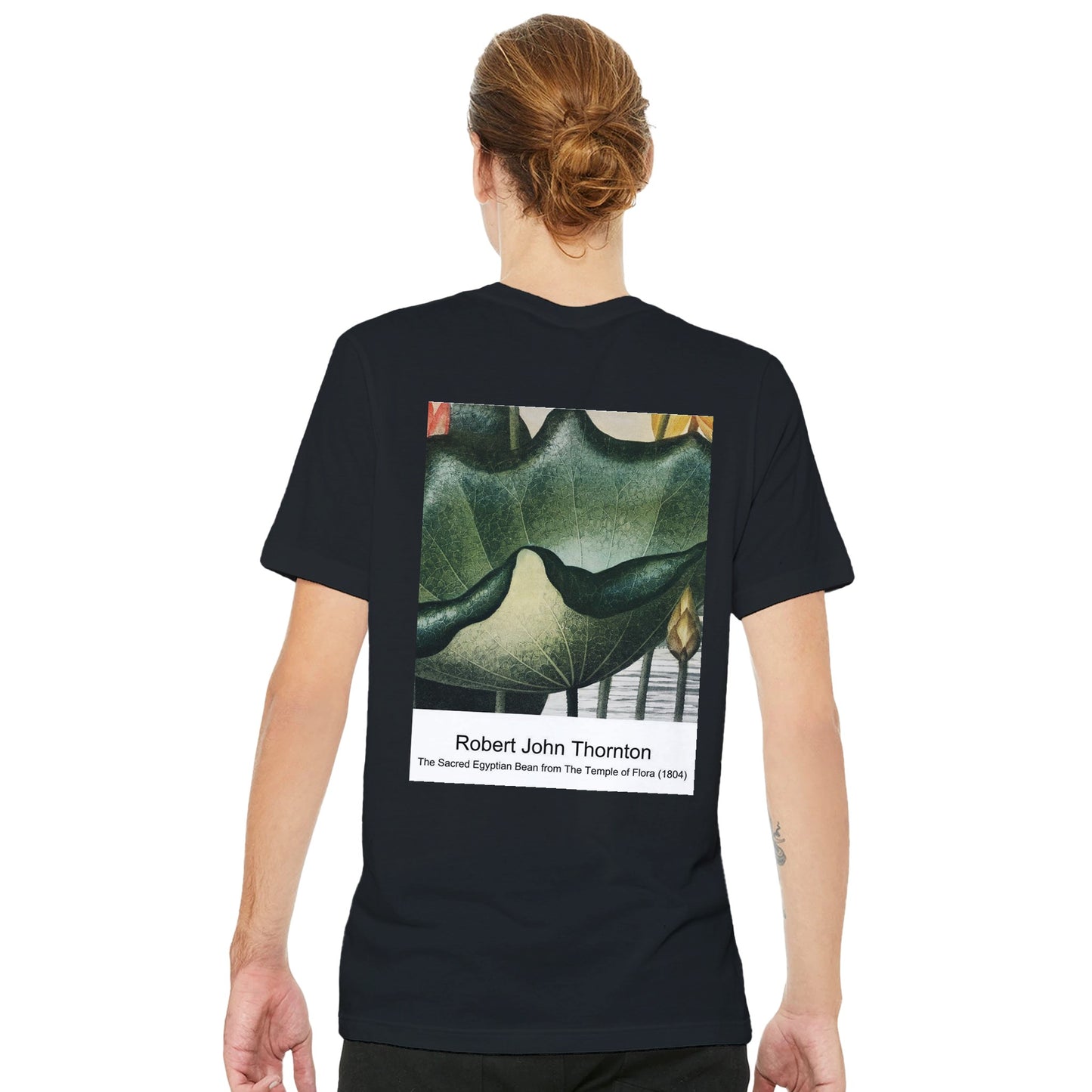 56bd913d-50c8-46a5-aa68-3f7bc7d6b328