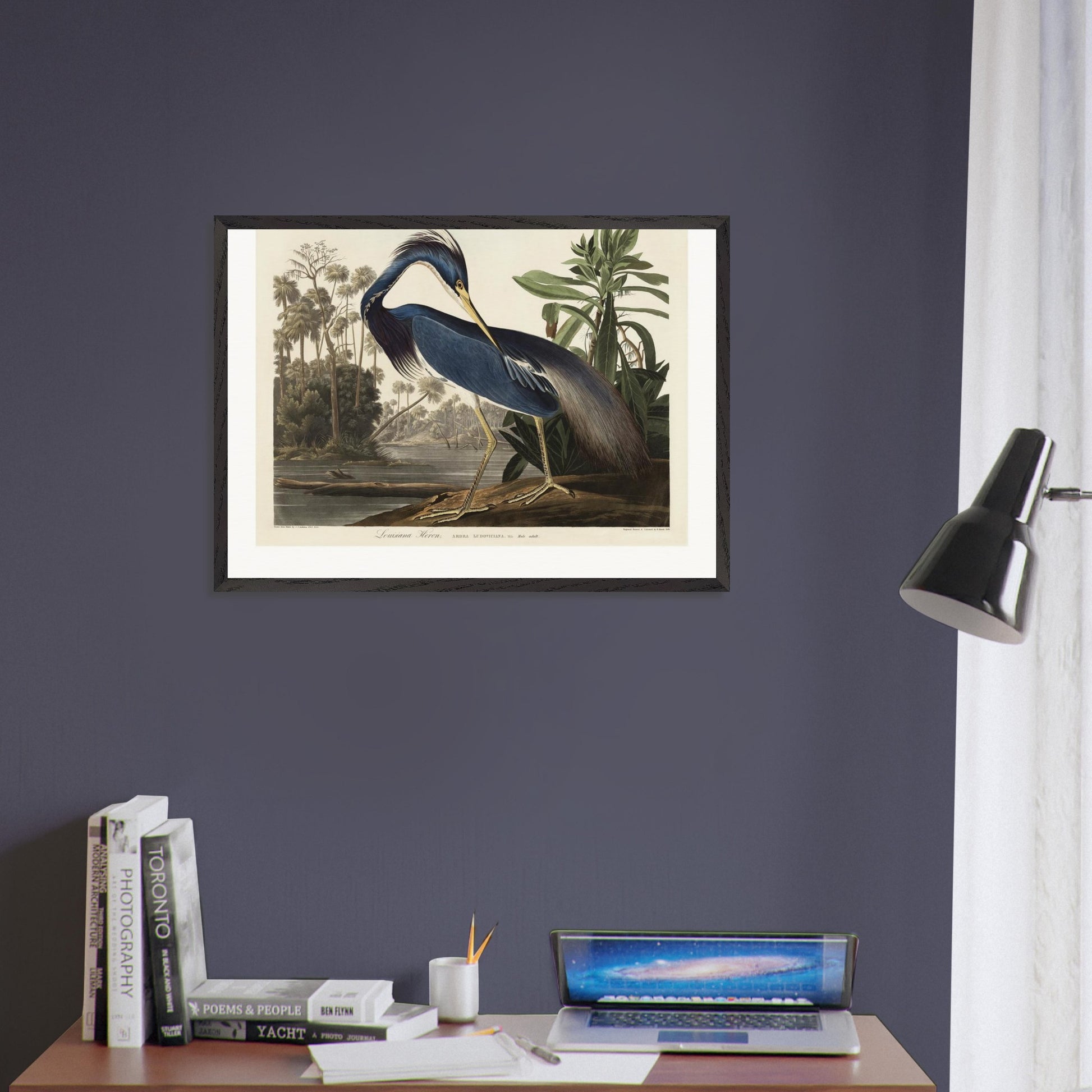 56e167aa-7691-4a98-a347-bca93f3f92da