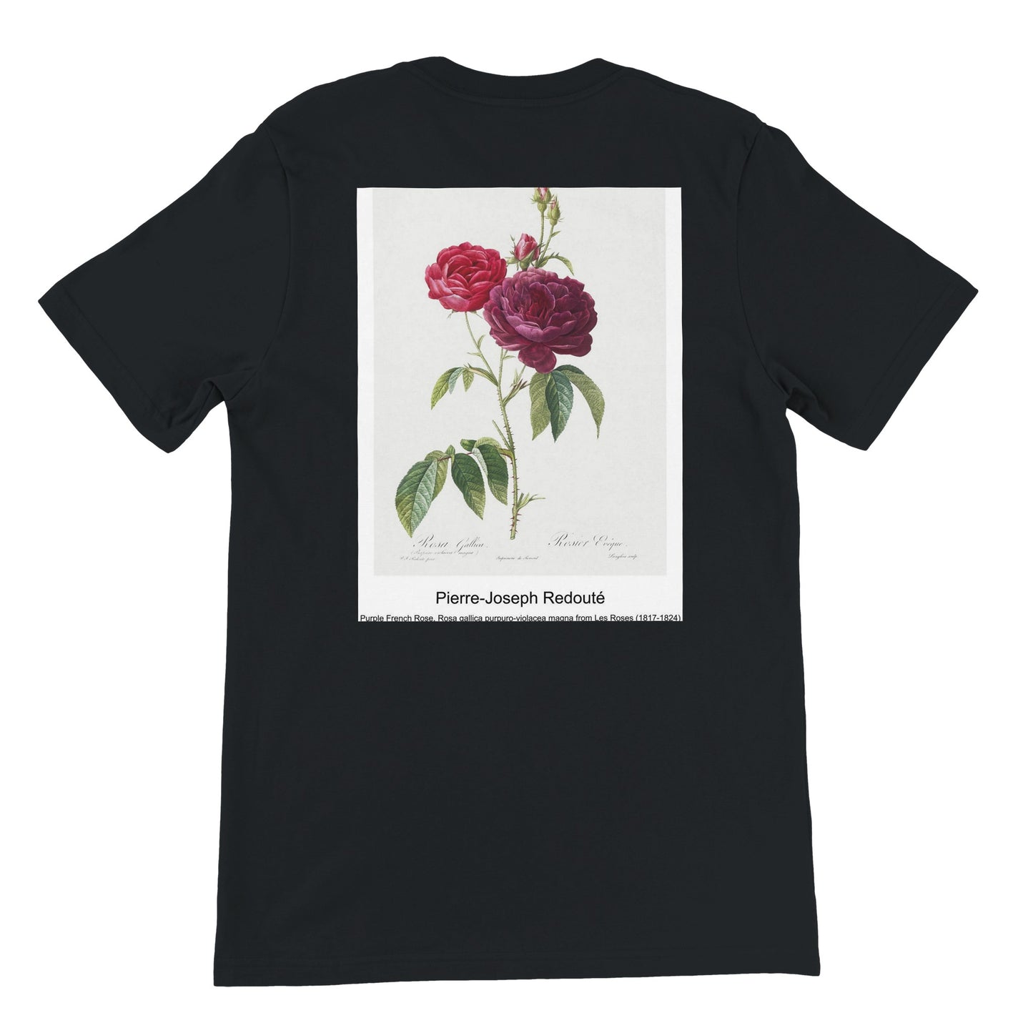 5706215d-9099-4296-867c-dea75ab2cd2b