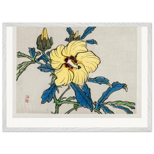 Hibiscus (1913) by Kōno Bairei. Archival Print on Museum Quality Matte Paper. Premium Wood Framed Wall Art. Original Aspect Ratio