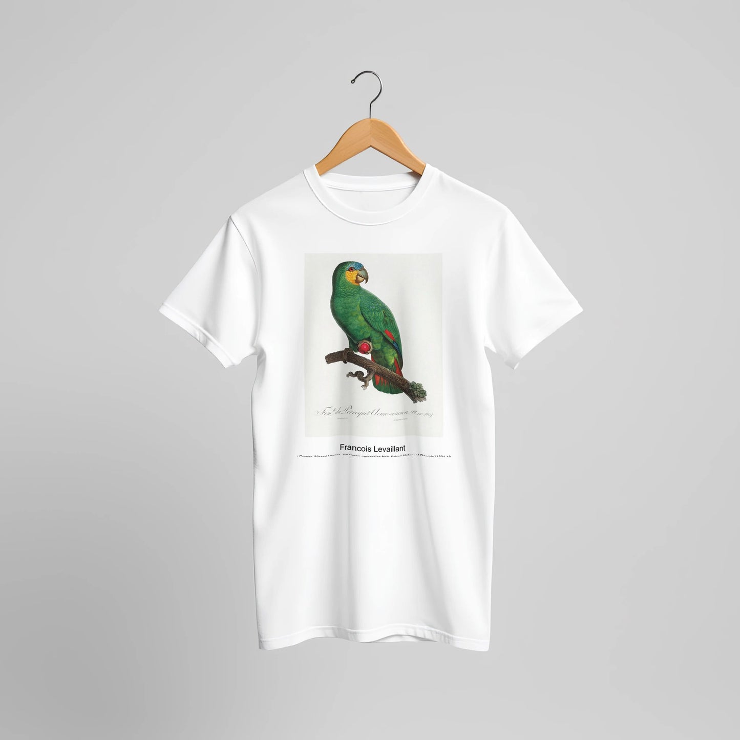 58f6ec39-1d69-4635-9101-9f456af64e26