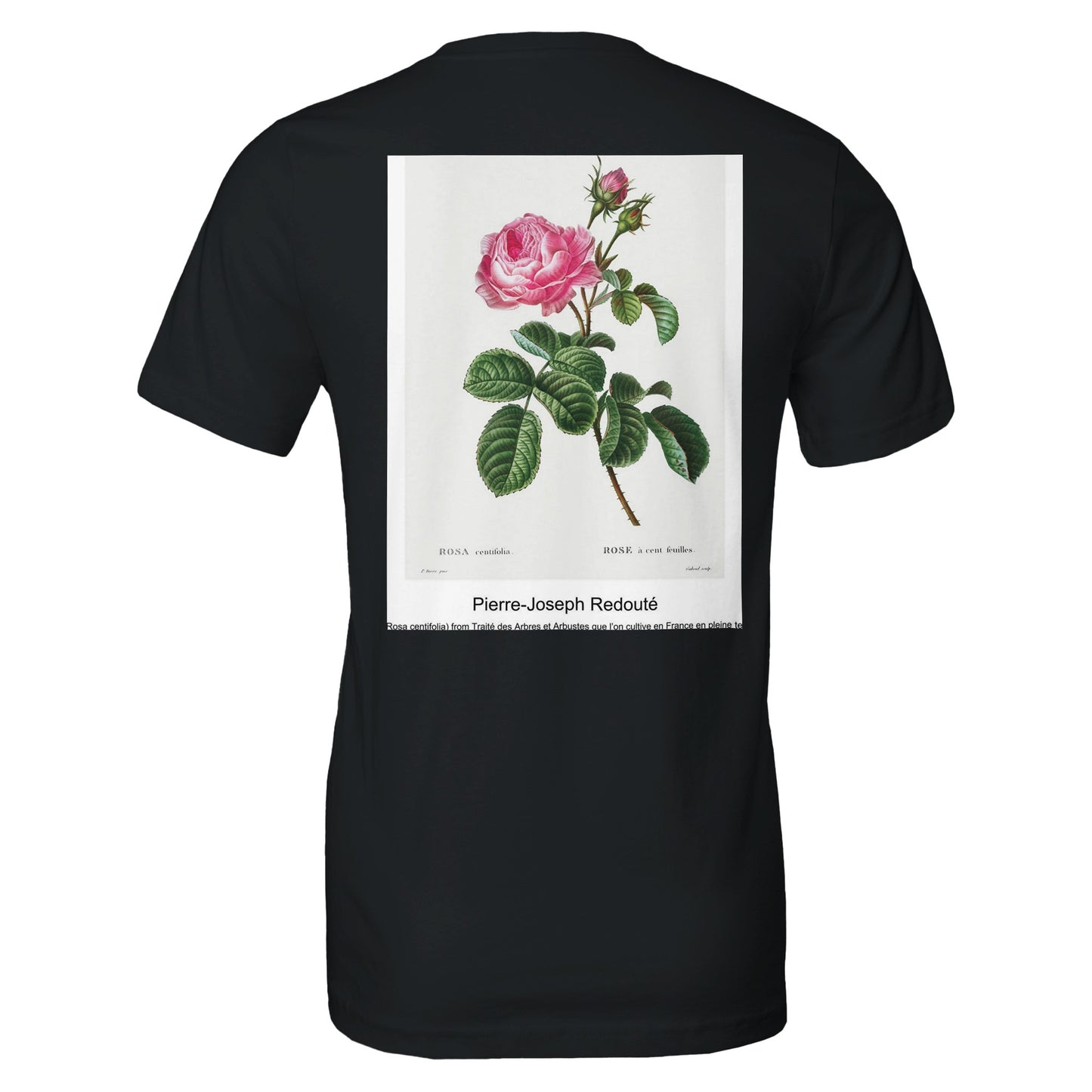 5a94f29a-d318-4fe4-9887-02b684593d72