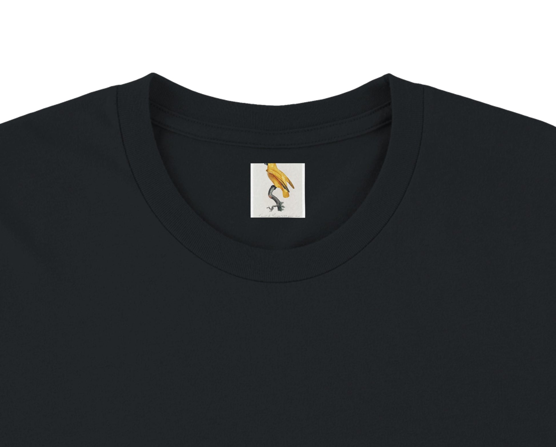 5b6cffe6-f8b5-4722-86fe-a72bbc631eaf