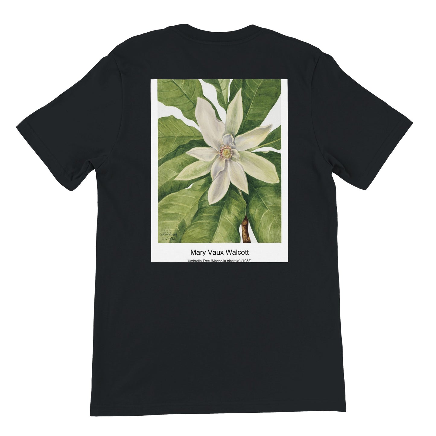 5bc72f59-6a66-4e1f-a769-2b8350695f80