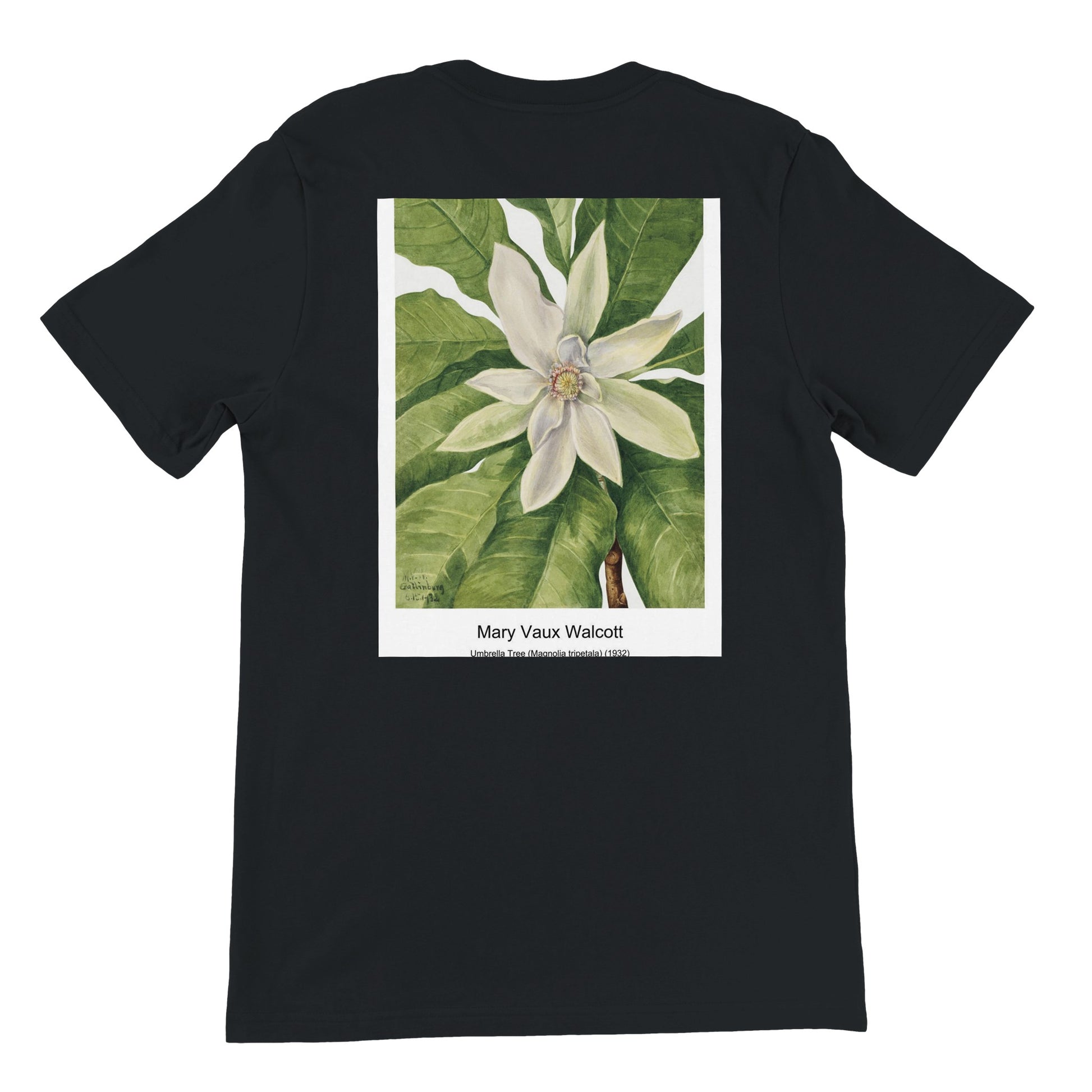 5bc72f59-6a66-4e1f-a769-2b8350695f80