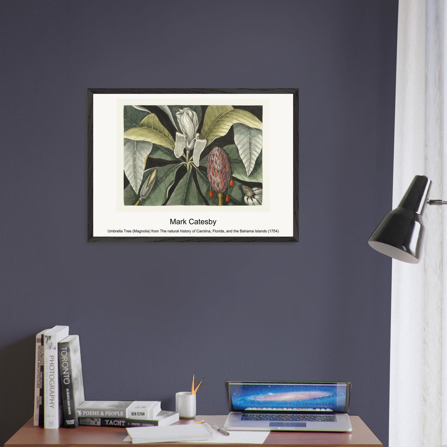 5cd516e2-fbd6-4be2-921a-af36241d1c2f