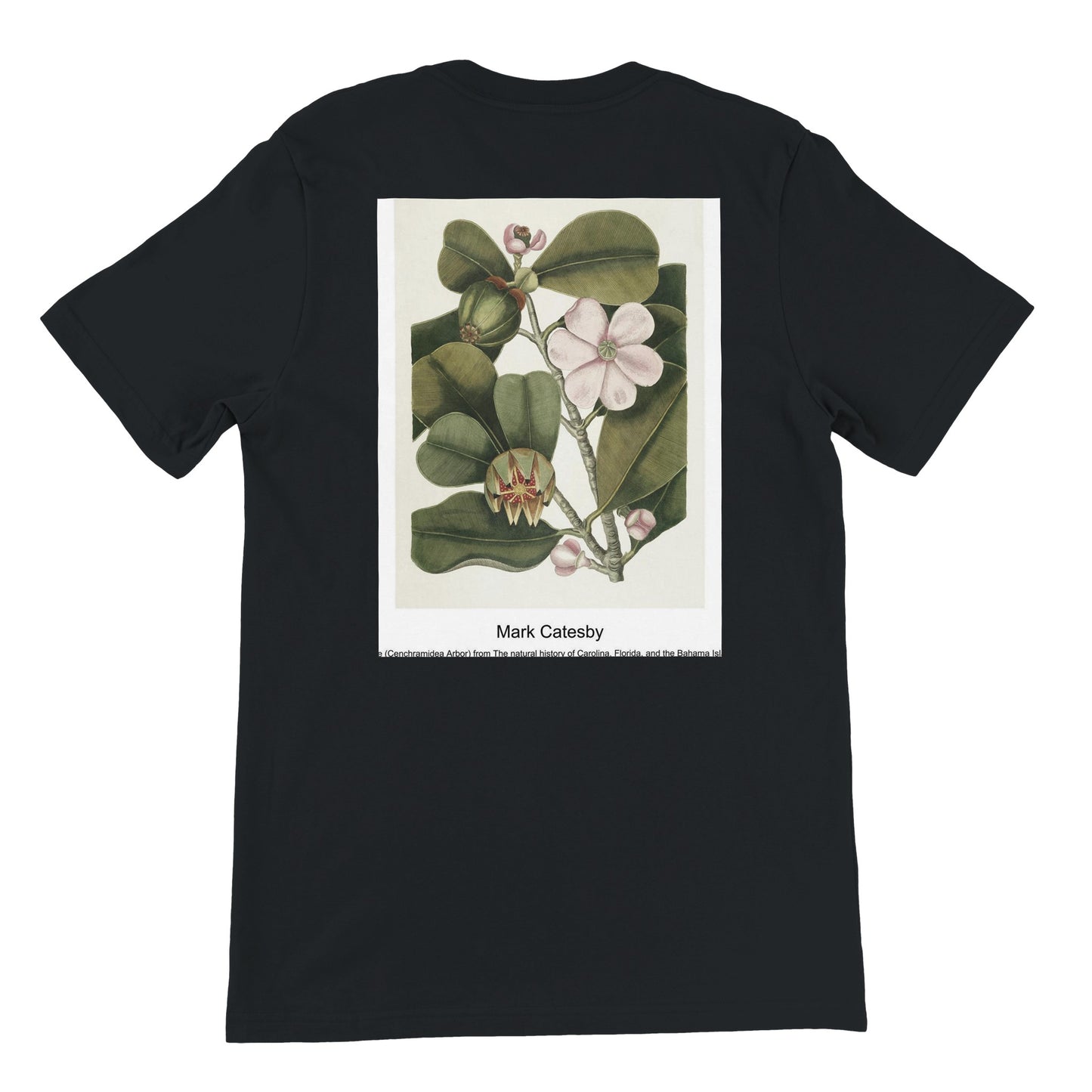 5e383c7c-7fa4-4db8-8e1f-49001457c17a