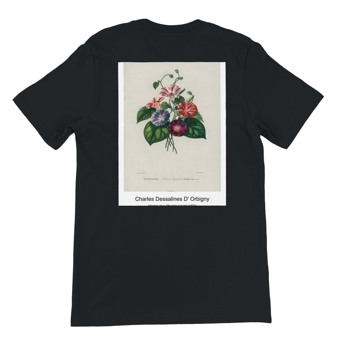 5ea63ba2-6523-49ee-937e-187f93dbb155